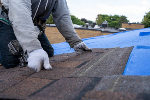 Best Commercial Roofing Services  in Dundee, FL