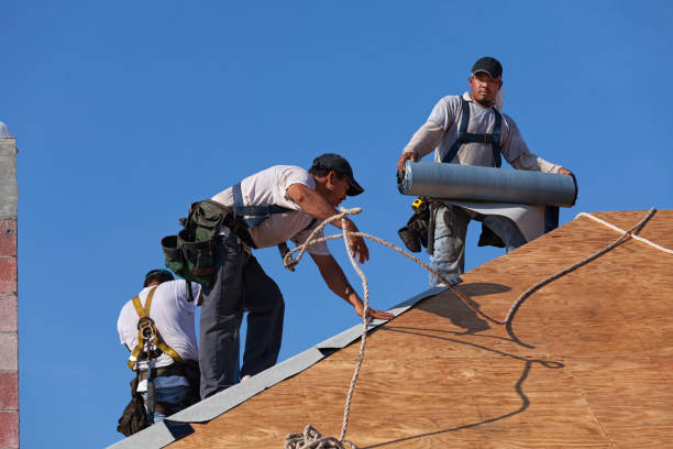 Best New Roof Installation  in Dundee, FL